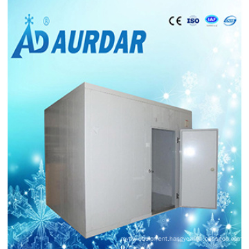 China Low Price Ice Cream Storage Cold Room Sale with High Quality